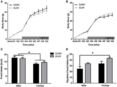 Effects of Dim Light at Night on Food Intake and Body Mass in Developing Mice